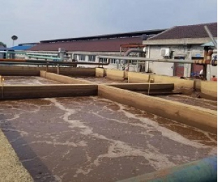 出水氨氮大于進(jìn)水氨氮，怎么回事？