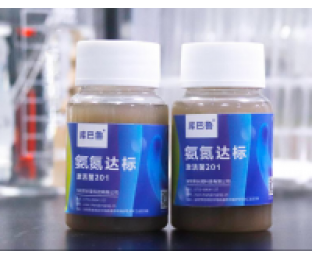 生化系統(tǒng)崩潰，氨氮超標(biāo)，我該怎么辦?